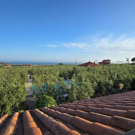 Il Finto Pepe Di Alessia Formia