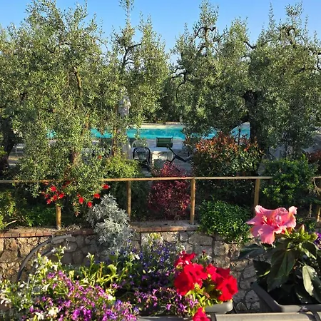 Il Finto Pepe Di Alessia 4*