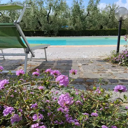 Il Finto Pepe Di Alessia 4* Formia