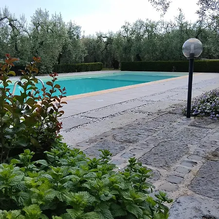 Il Finto Pepe Di Alessia Gasthuis Formia